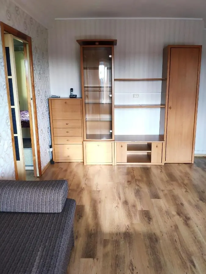 Cozy One Bedroom Apartment Kiev Ukraine
